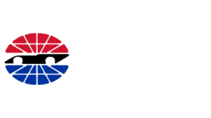 Dover Motor Speedway logo